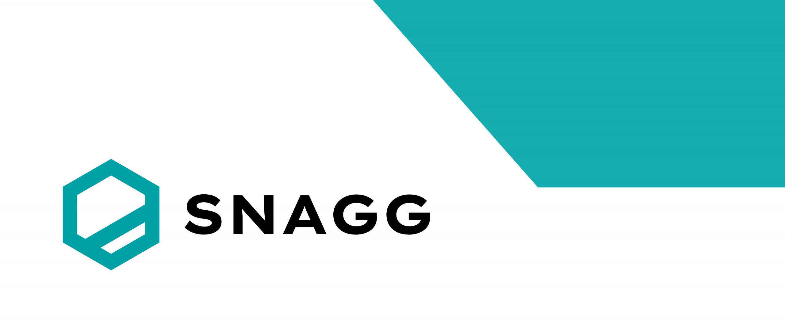 Snagg Introduction Webinar 16th January 2024